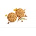 Misura Whole-Wheat Multigrain Biscuits 120g