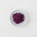 Clearspring Organic Red Cabbage Sweetened with Rice Malt Syrup 355g