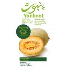 Ananas Melon Seeds
