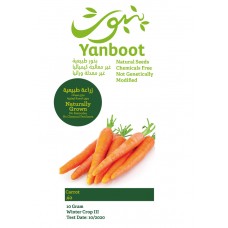 Carrots Seeds
