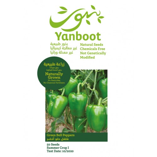 Green Bell Pepper Seeds 