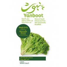 Lollo Bionda Lettuce Seeds