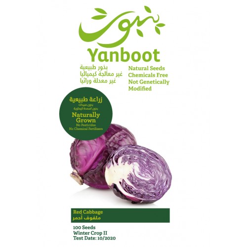 Red Cabbage Seeds