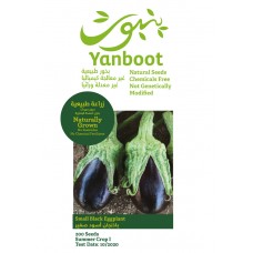 Small Black Eggplant Seeds