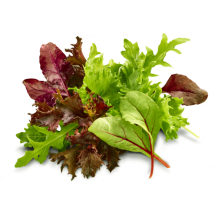 Organic Mixed Baby Leaves /Pack