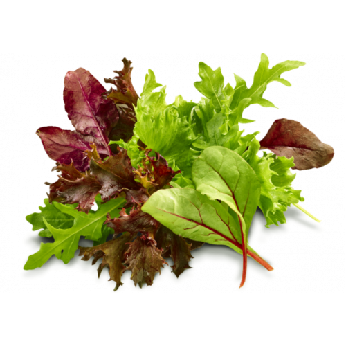 Organic Mixed Baby Leaves /Pack