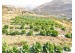 Sustainable agriculture in a changing climate
