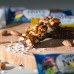 Emco GF Nuts & Protein Bar with Chocolate & Almonds  40g 