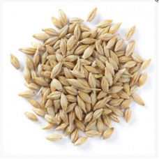  Barley