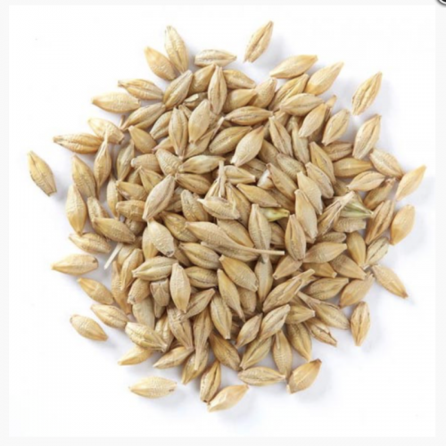  Barley