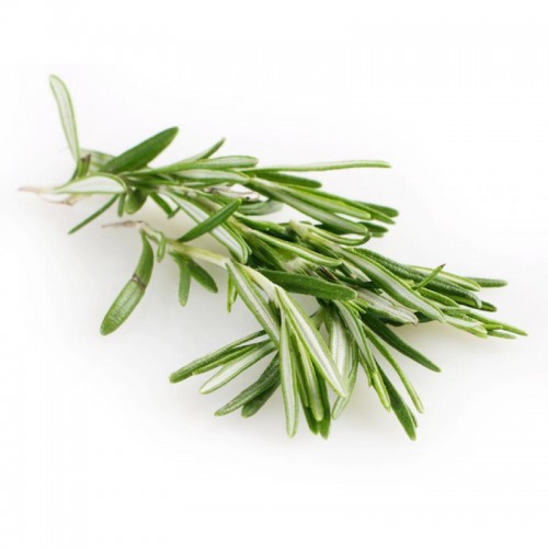 Organic Rosemary 200g